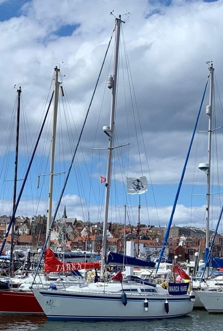 newboat 4.jpeg