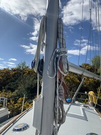IMG_6489.jpeg