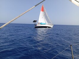 WhatsApp Image 2025-06-06 at 13.16.17.jpeg