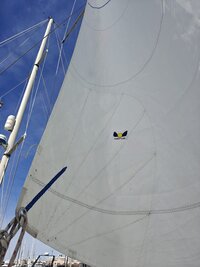 WhatsApp Image 2025-06-06 at 19.03.06.jpeg