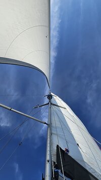 2025-06-19 18.26.24.jpg