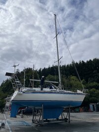 LETITIA Totnes 2025.jpeg