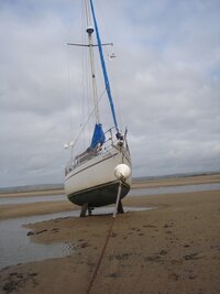 DSC00991 (480x640).jpg