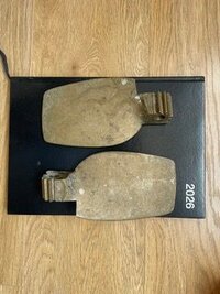 IMG_2313.jpeg